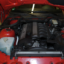 BillyBob_20120318_09