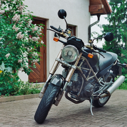 Meine_Monster_20180730_011