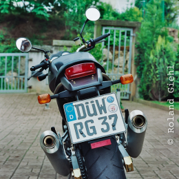 Meine_Monster_20180730_016