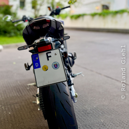 Monty_005_20250517