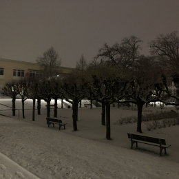 JPEG-Bild-29