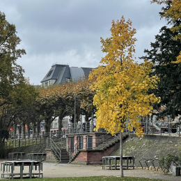 JPEG-Bild-3