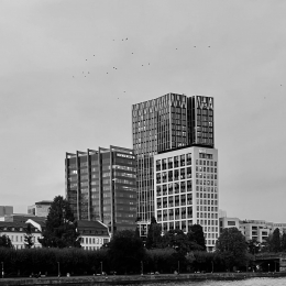 JPEG-Bild-20