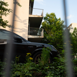 Z8_007_20250602