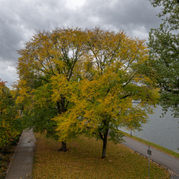 Frankfurt_008_20251023