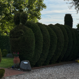 Radtour_2024_Datteln_071_20240714