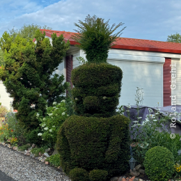 Radtour_2024_Datteln_070_20240714