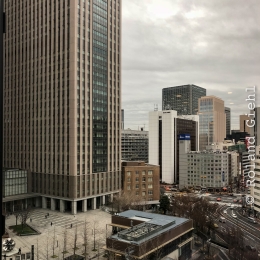 Tokyo_20180309_086