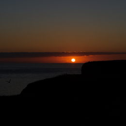 Urlaub2012-06-14_Helgoland_77