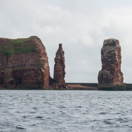 Helgoland_Tag_11_20140714_340