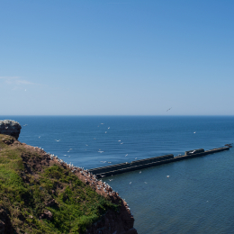 Helgoland_Tag_07_20140710_107
