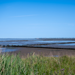 Sylt-2025_106_20250620