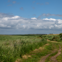 Sylt-2025_146_20250625