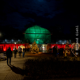 Palmengarten_Winterlichter_002_20250111