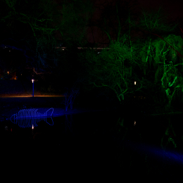Palmengarten_Winterlichter_016_20250111