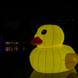 Palmengarten_Winterlichter_022_20250111