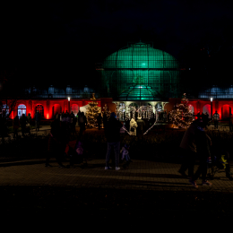 Palmengarten_Winterlichter_007_20250111