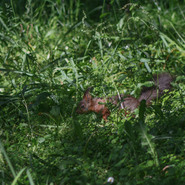 DSC_9857