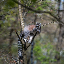 Tierpark-Bell_007_20250420