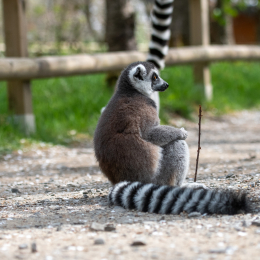 Tierpark-Bell_012_20250420
