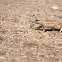Tierpark-Bell_018_20250420