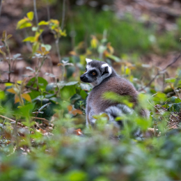 Tierpark-Bell_008_20250420